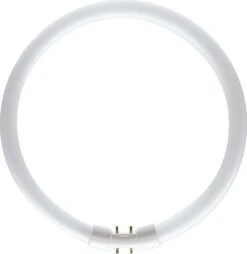 Philips 22w T5 Circular Tube Cool White - 64221925