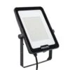 Philips Ledinaire 100W IP65 LED Floodlight - Cool White (UK1022) - 911401856483