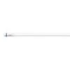 Philips Master 2FT LEDTube 8W LED G13 T8 Tube Cool White - 69749800