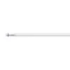 Philips Master 5FT LEDTube 24W LED G13 T8 Tube Cool White - 68744400